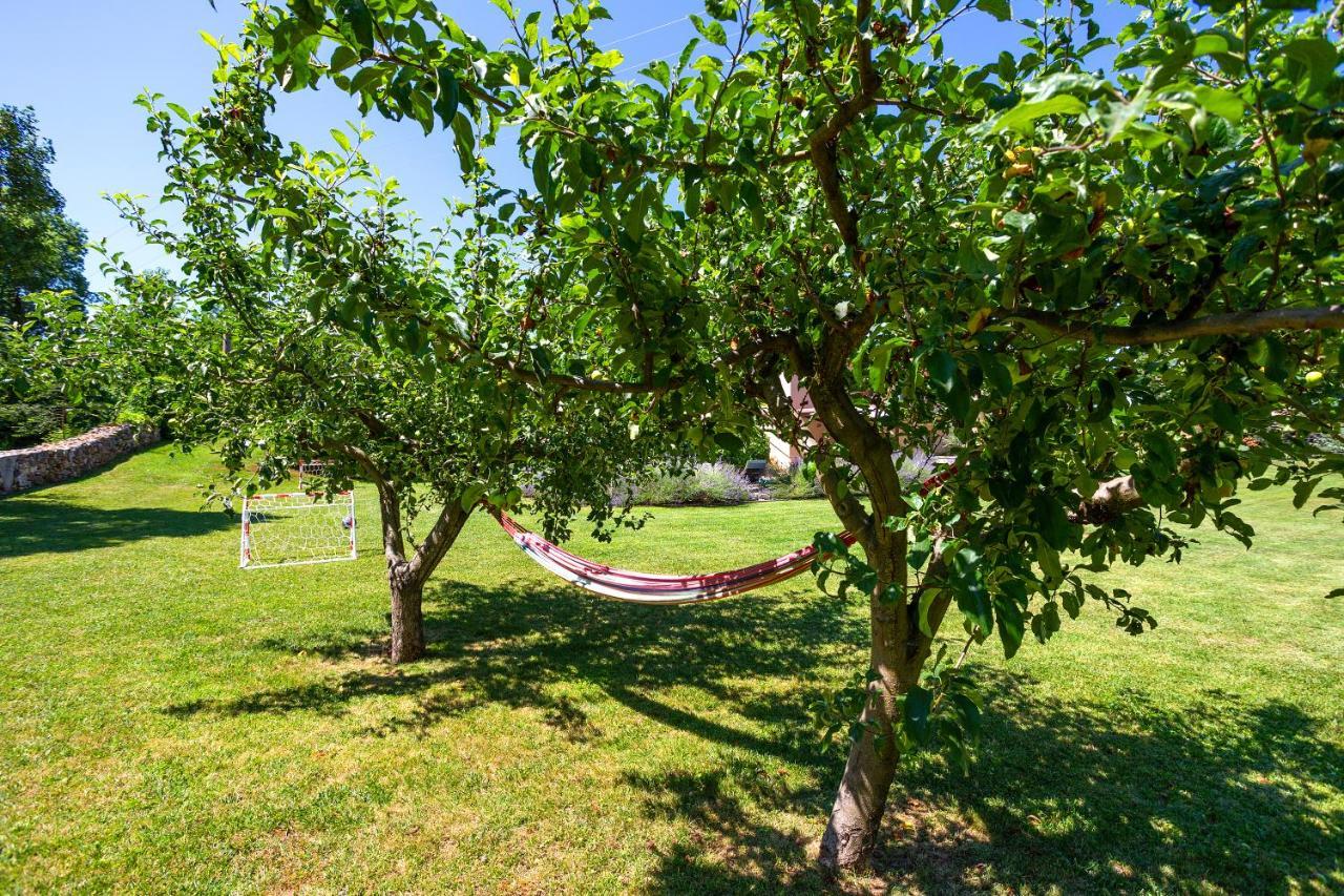 Villa Krizanci Žminj Buitenkant foto